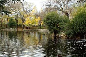 Caprice Park (Parque de El Capricho)