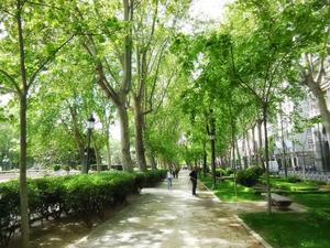 Paseo del Prado