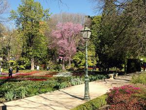 Buen Retiro Park (Parque del Retiro)